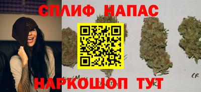 мет Камышлов