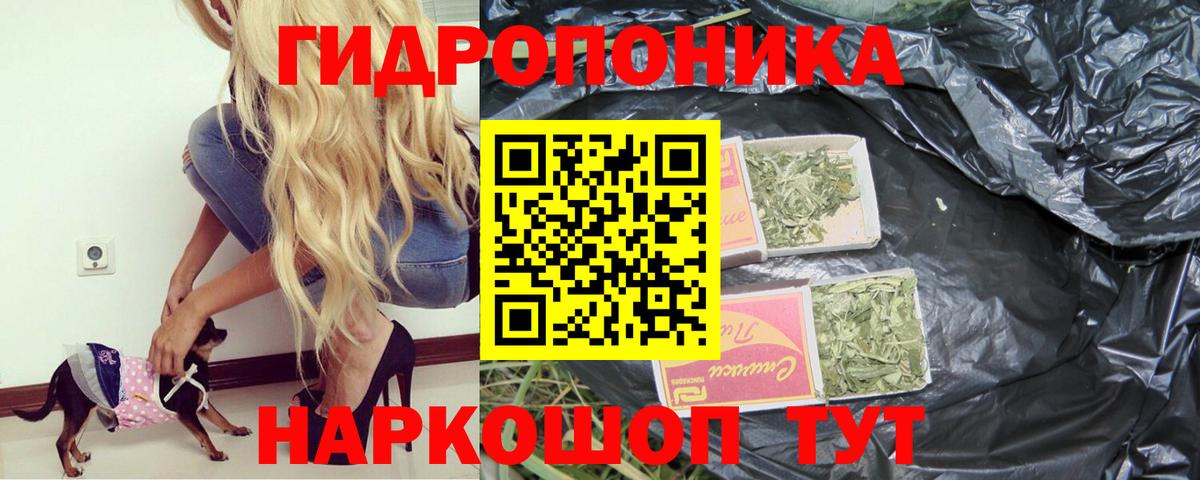 Шишки марихуана сатива  Марихуана ГИДРОПОН  Вход с VPN  Лабытнанги  Бошки марихуана Ganja 